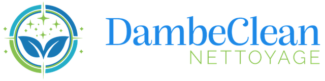 DambeClean Nettoyage